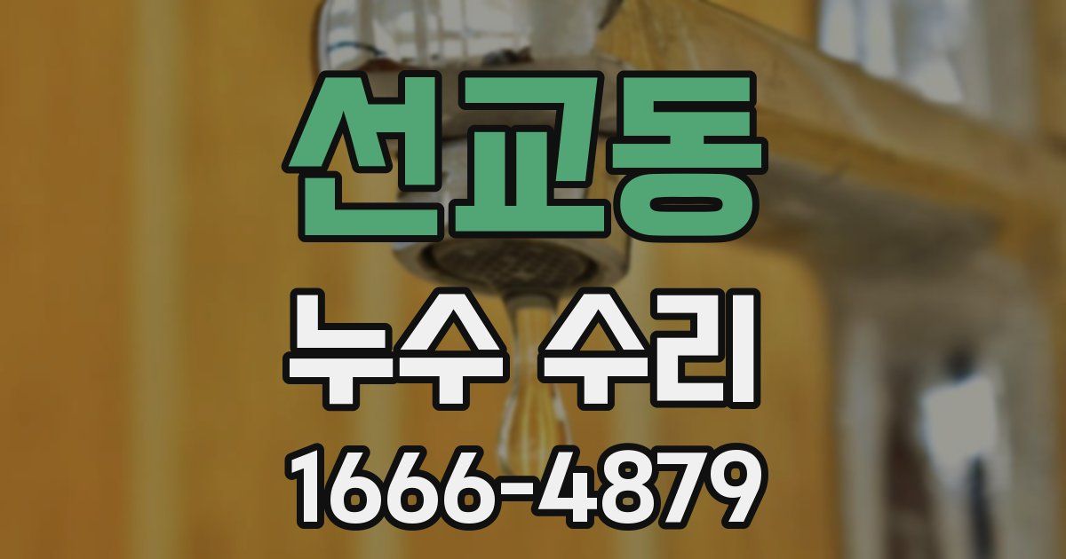 선교동 누수 수리