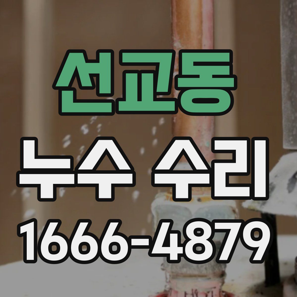 선교동 누수 수리