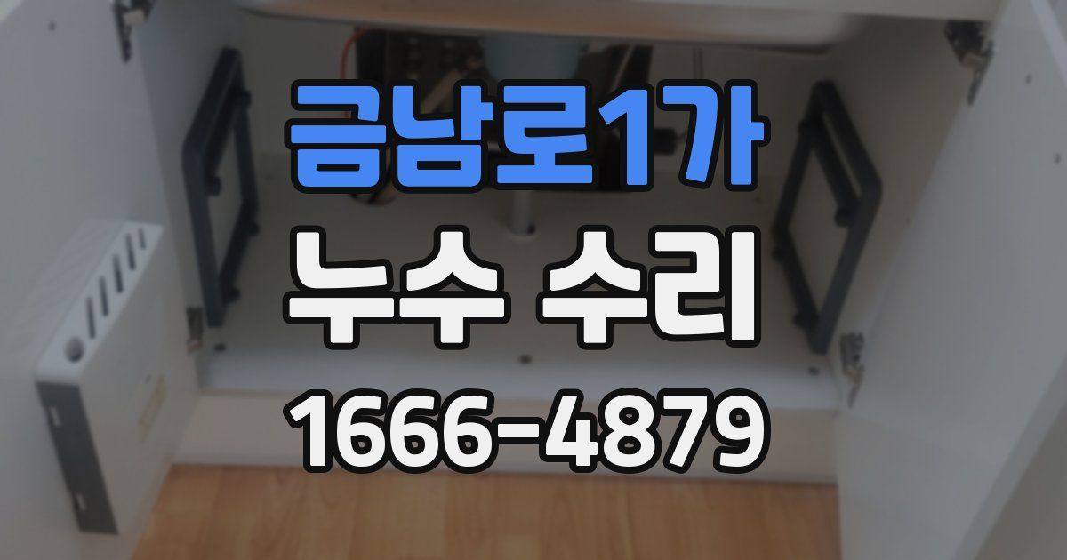 금남로1가 누수 수리