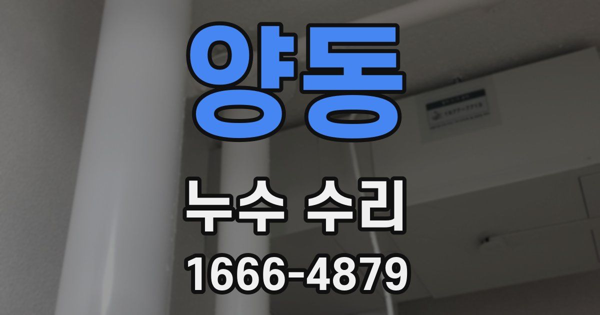 양동 누수 수리
