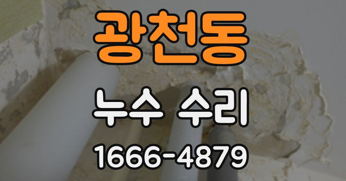광천동 누수 수리