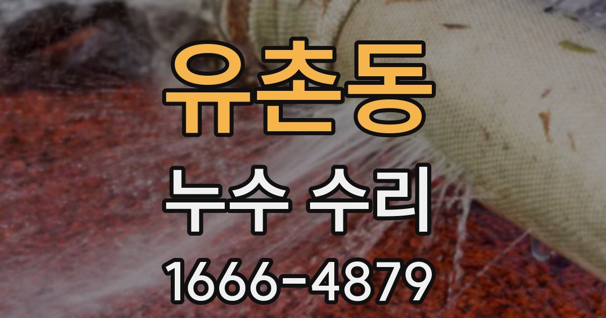 유촌동 누수 수리