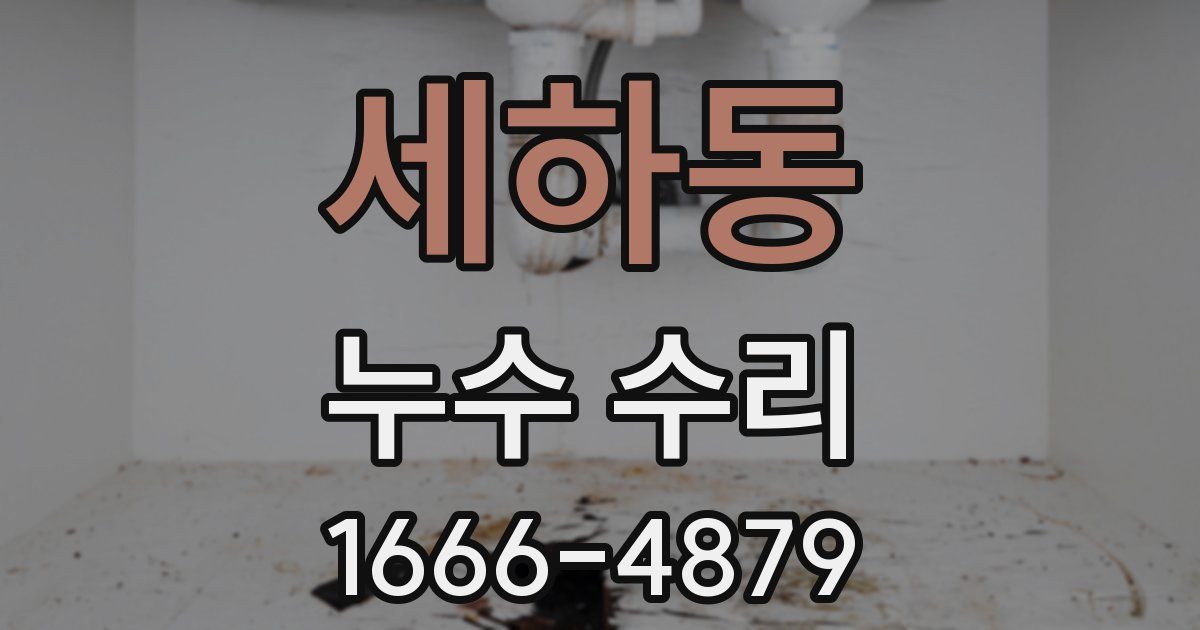 세하동 누수 수리