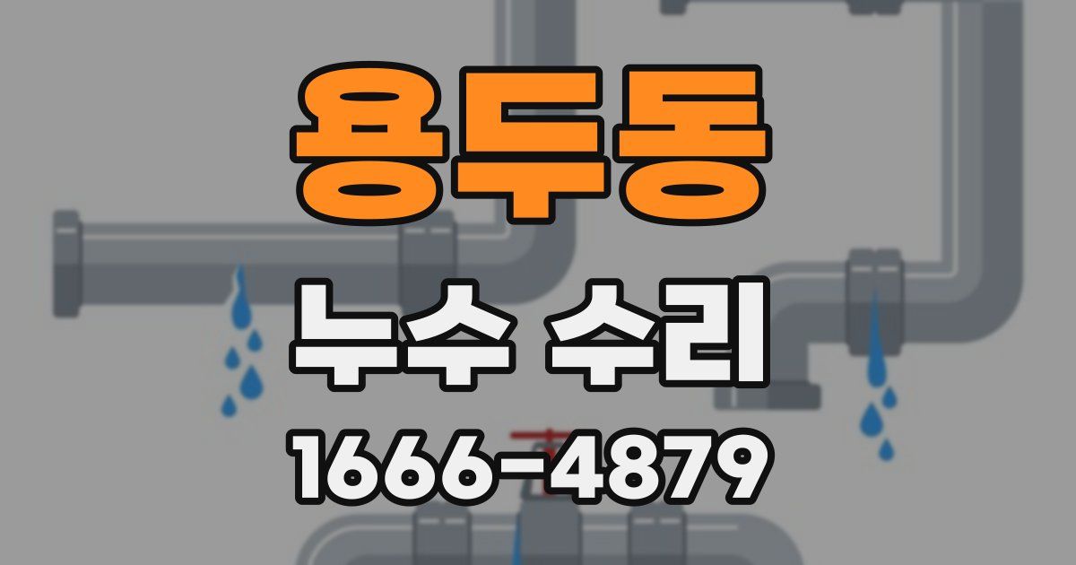용두동 누수 수리