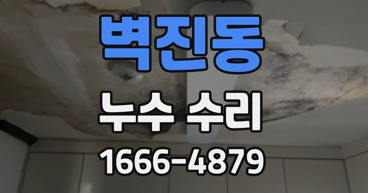 벽진동 누수 수리