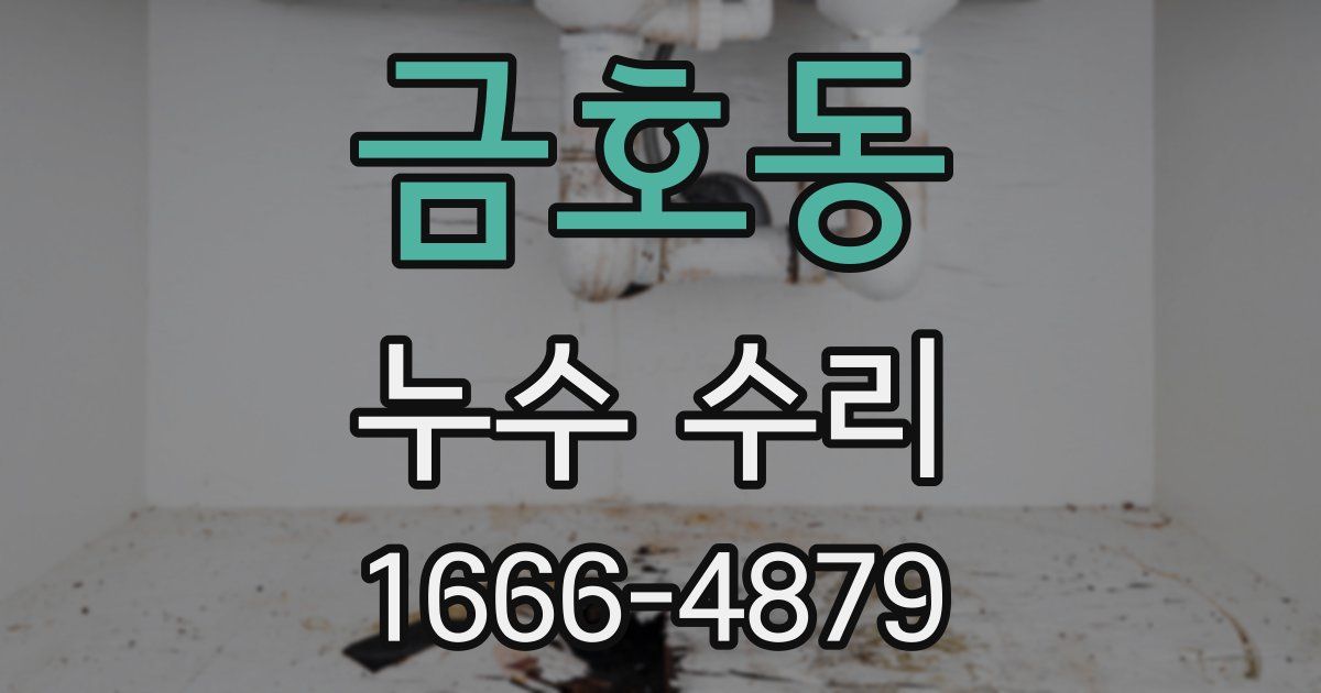금호동 누수 수리