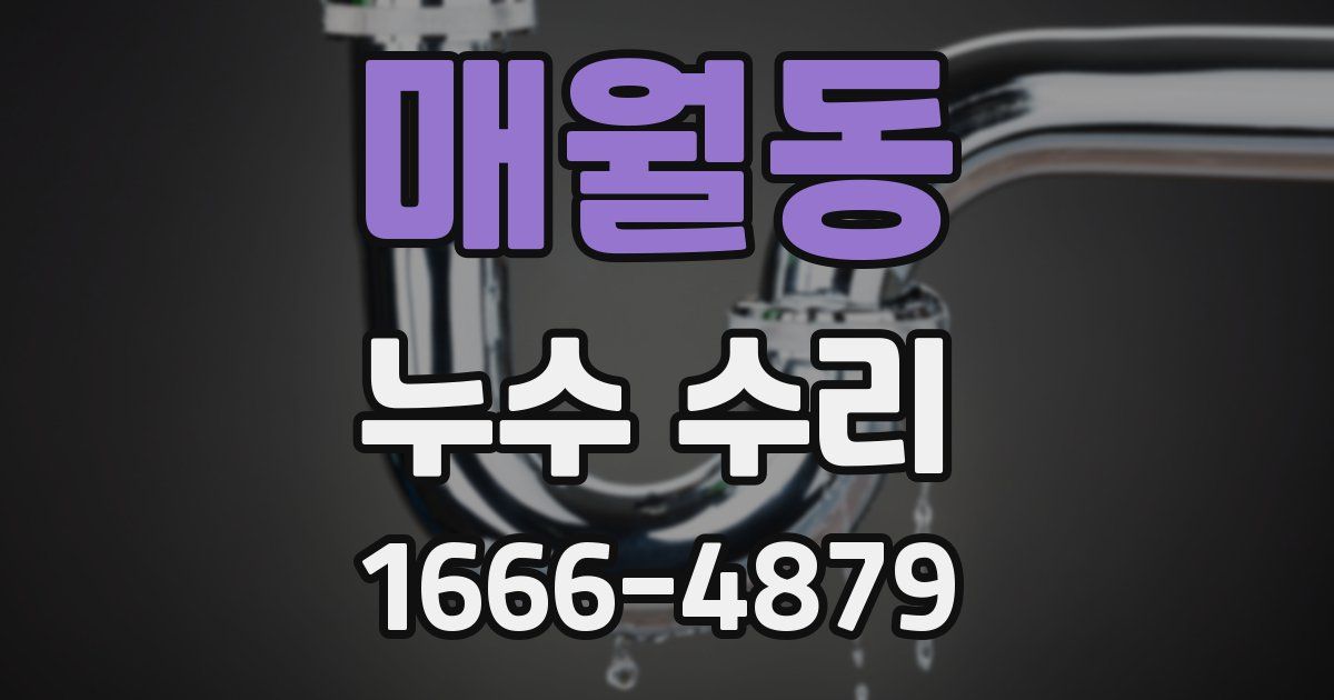 매월동 누수 수리