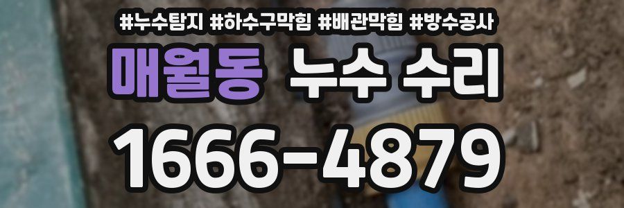 매월동 누수 수리