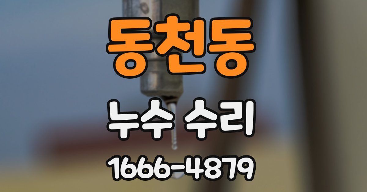 동천동 누수 수리