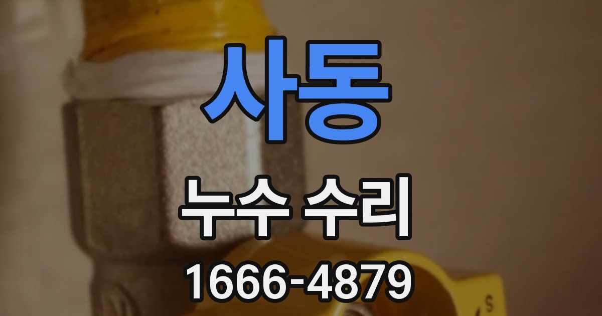 사동 누수 수리