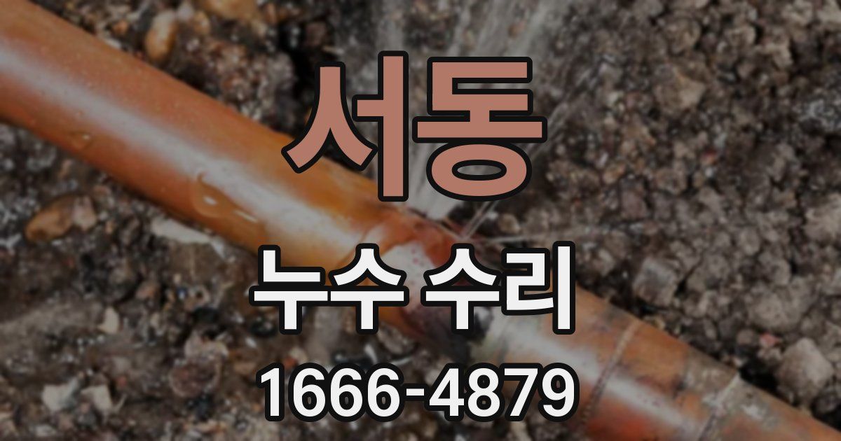 서동 누수 수리