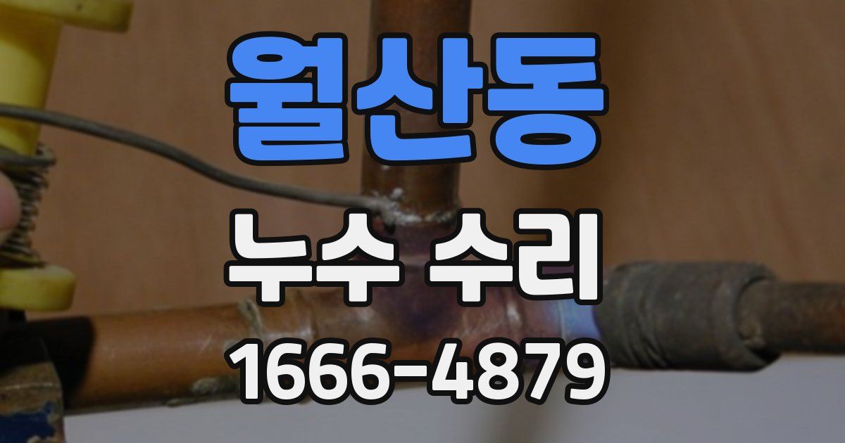 월산동 누수 수리