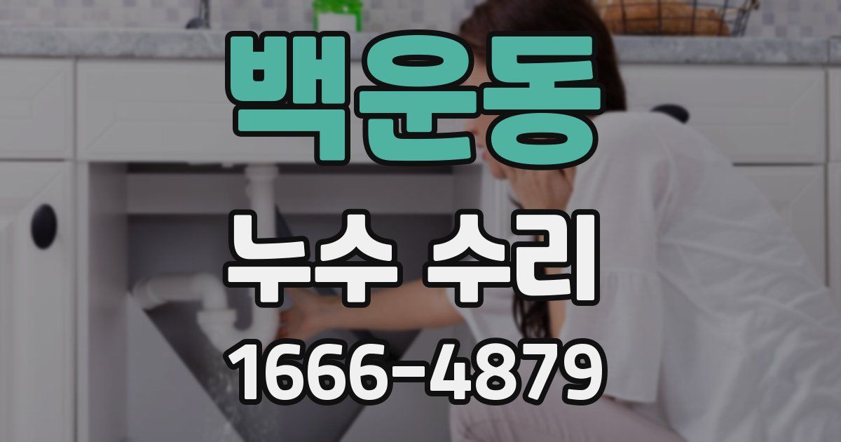 백운동 누수 수리