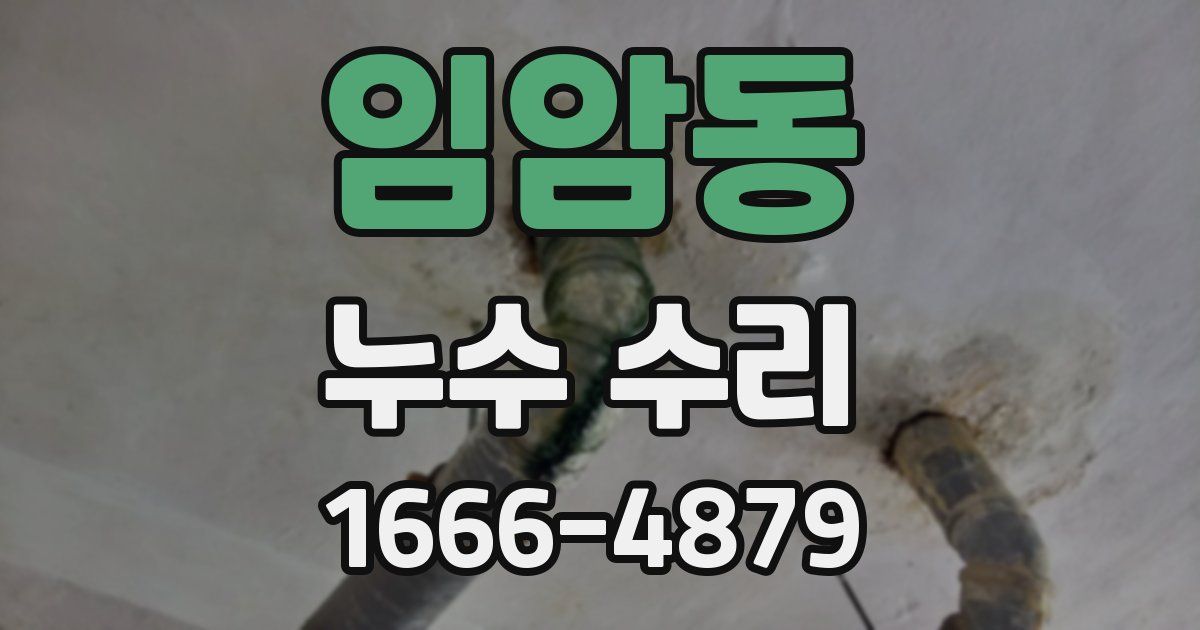 임암동 누수 수리