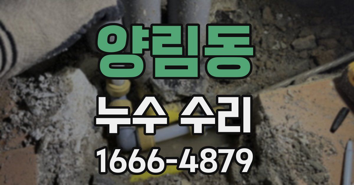양림동 누수 수리