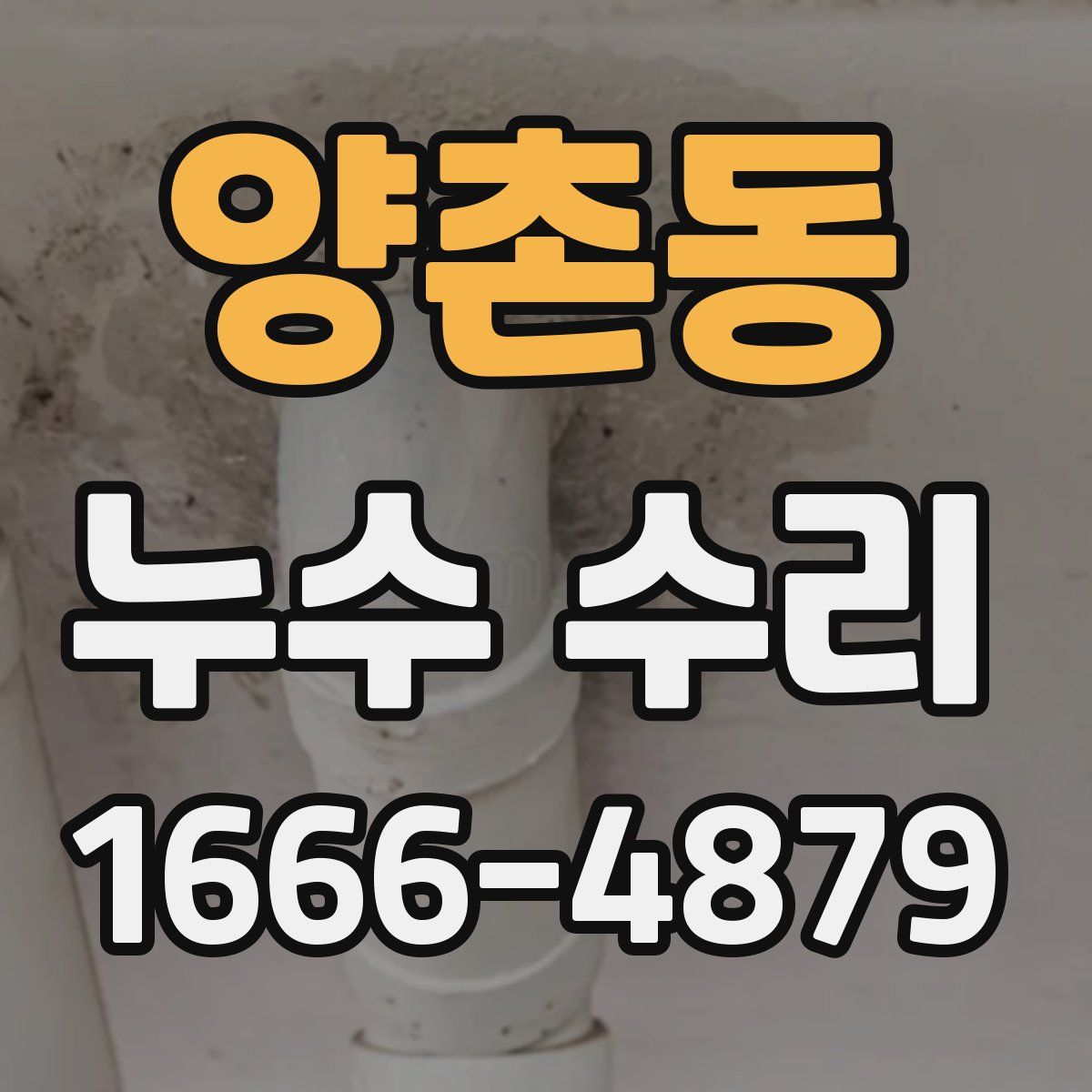 양촌동 누수 수리