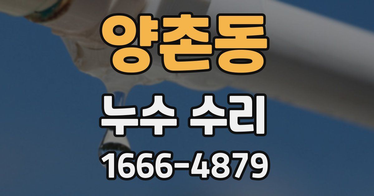 양촌동 누수 수리