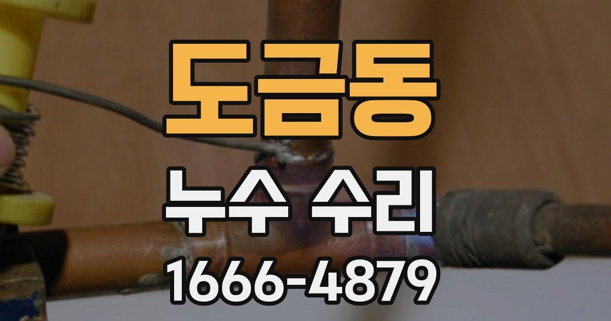 도금동 누수 수리