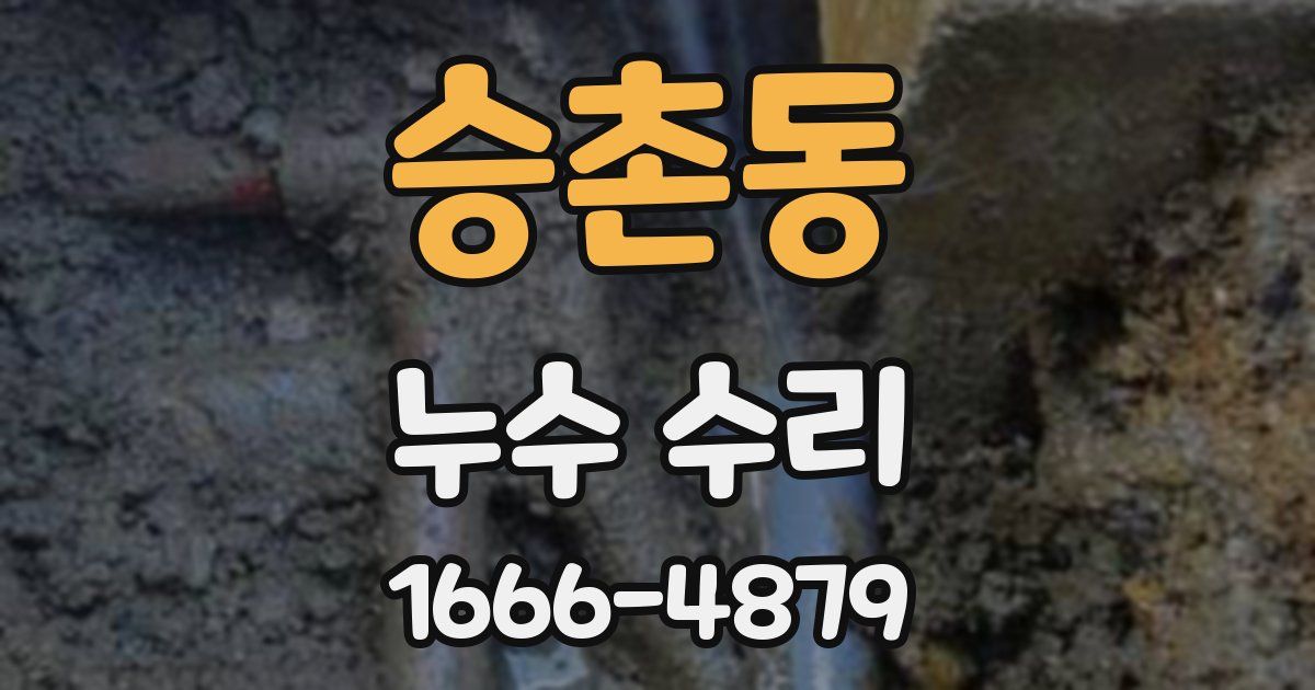 승촌동 누수 수리