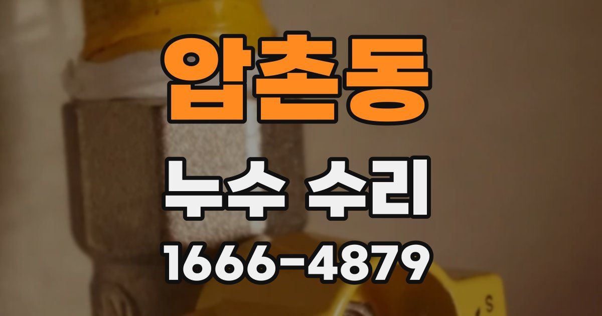 압촌동 누수 수리