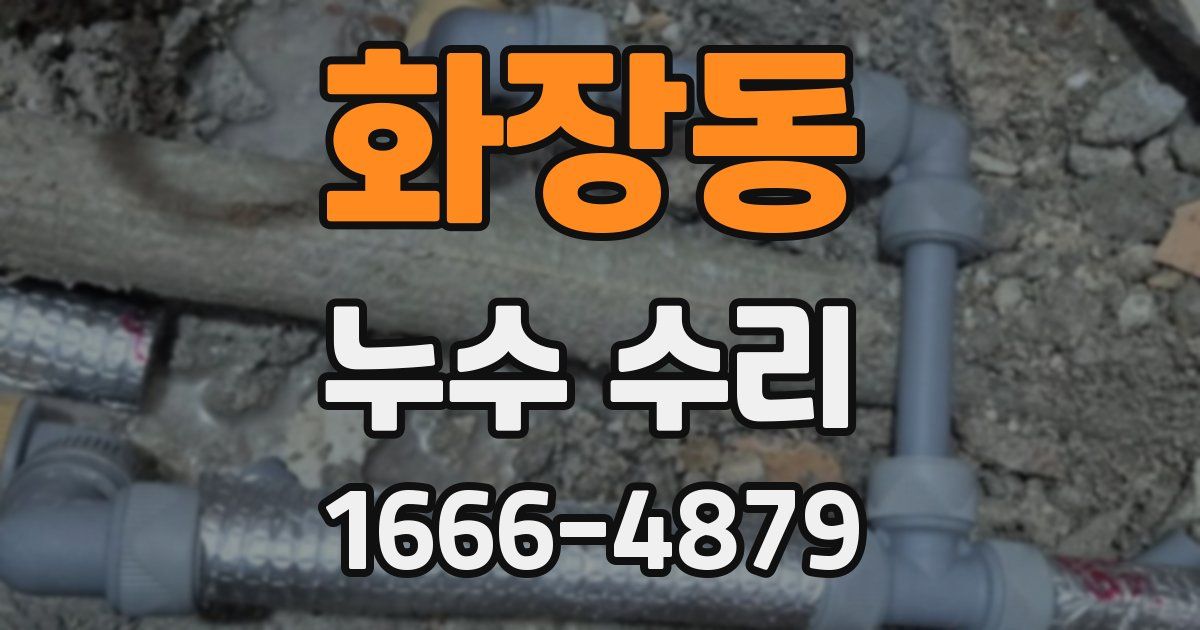 화장동 누수 수리