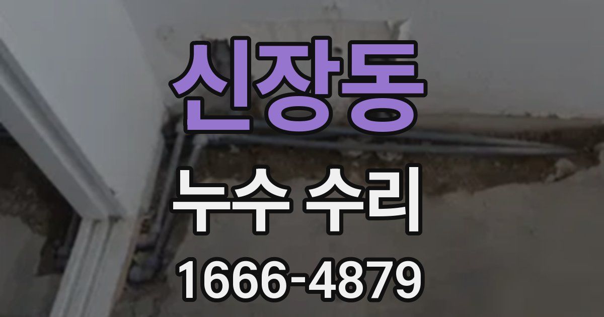 신장동 누수 수리