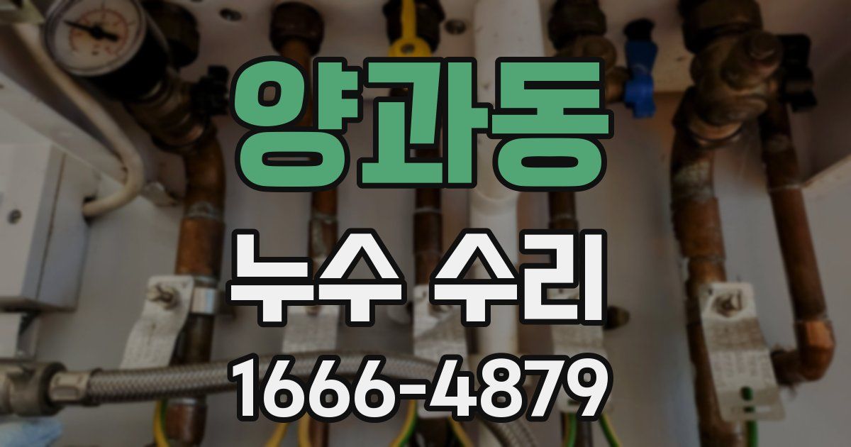 양과동 누수 수리