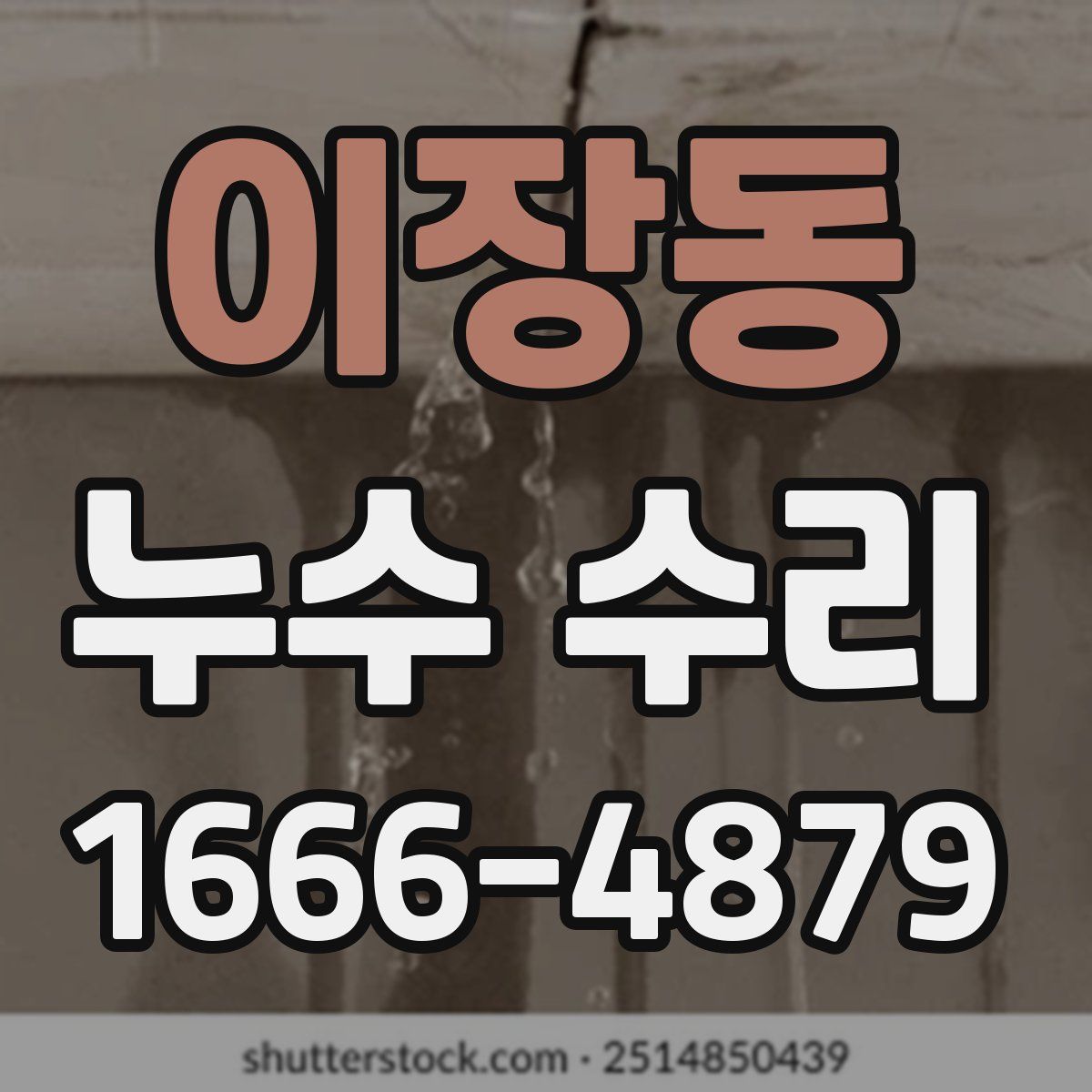 이장동 누수 수리