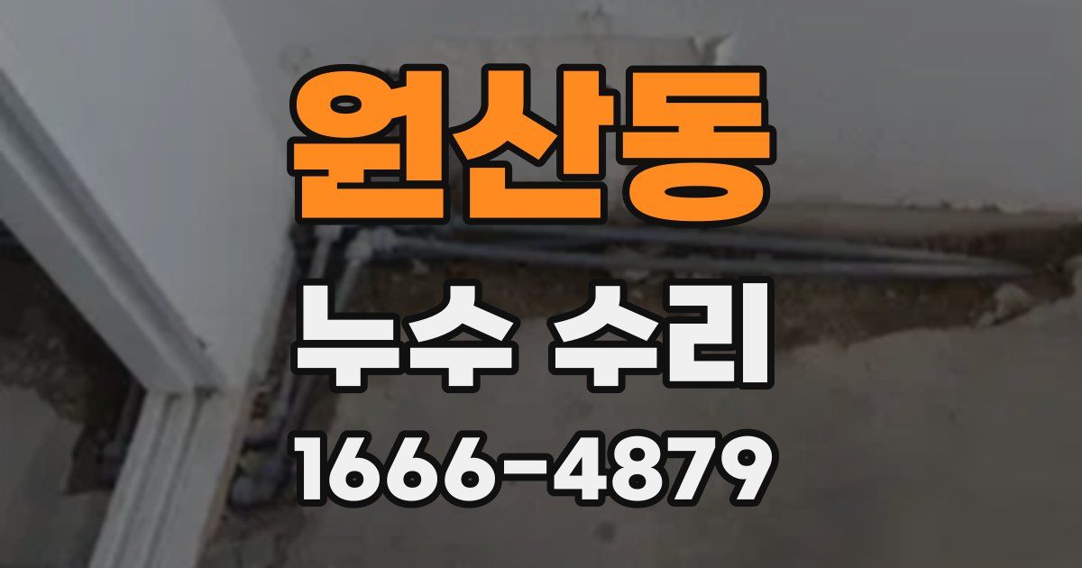 원산동 누수 수리