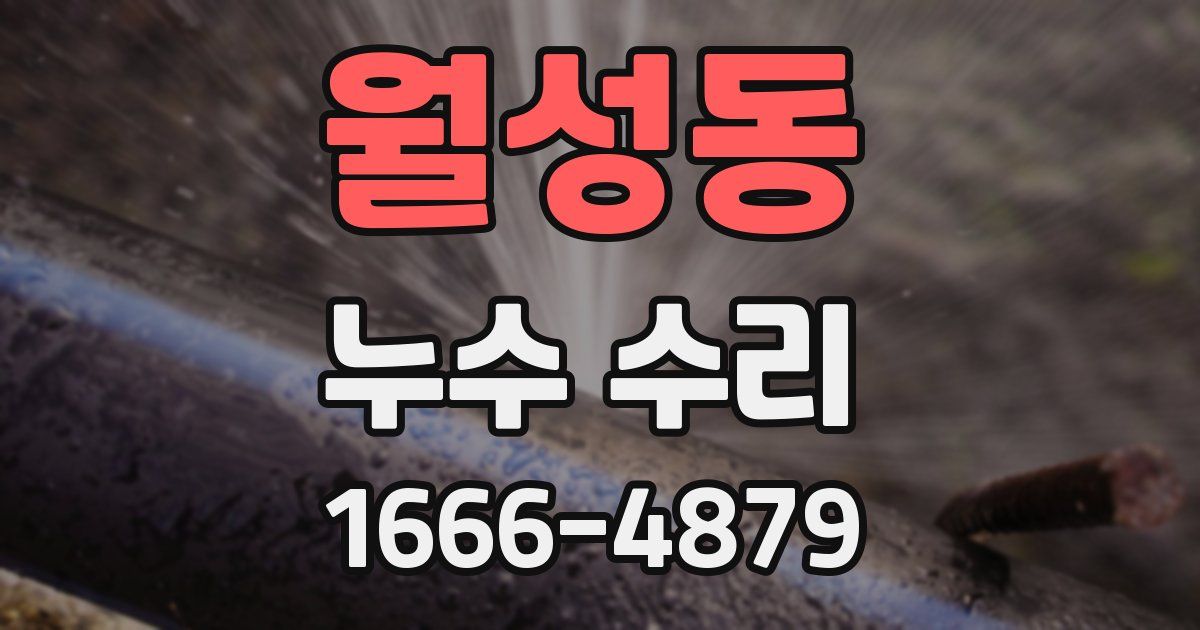 월성동 누수 수리