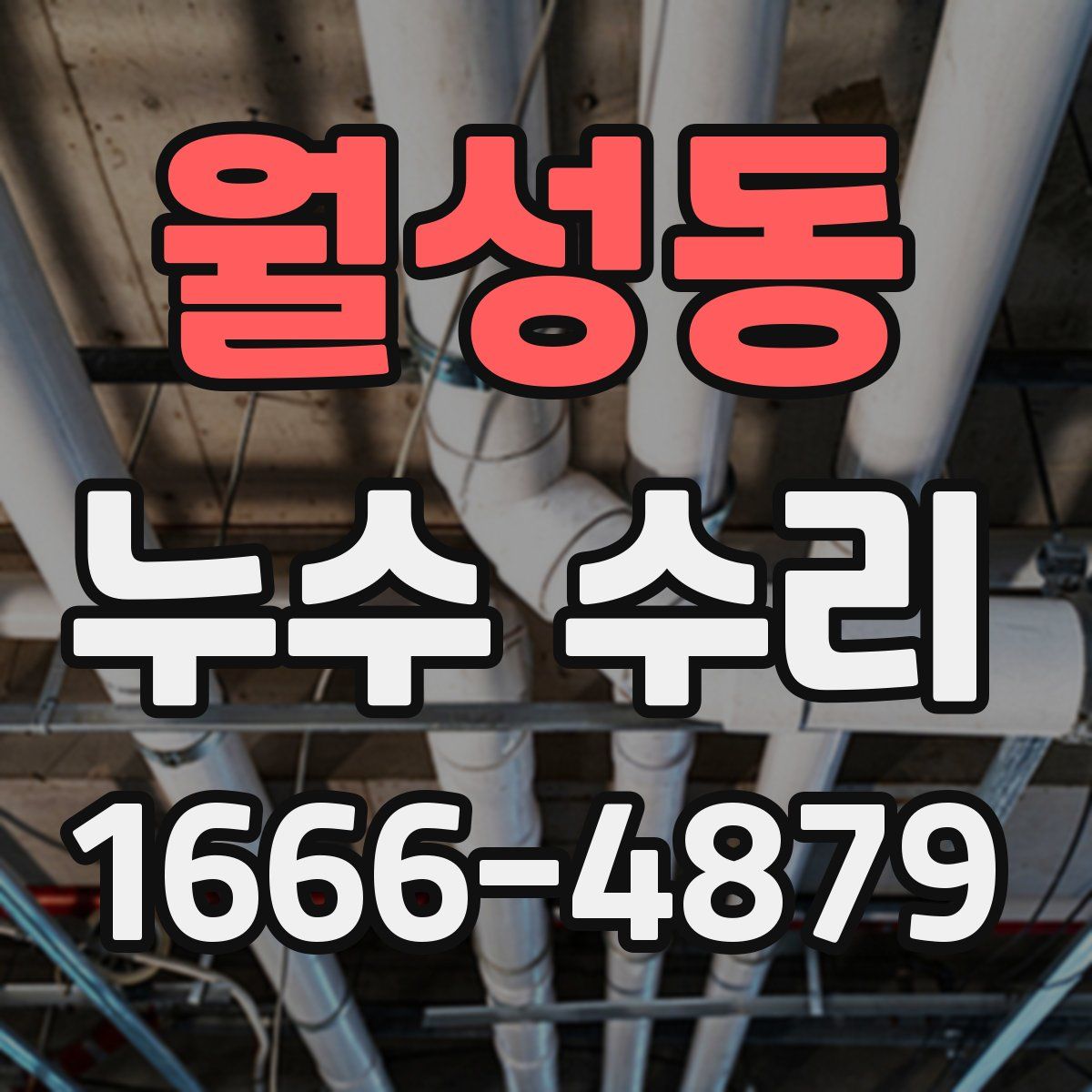 월성동 누수 수리