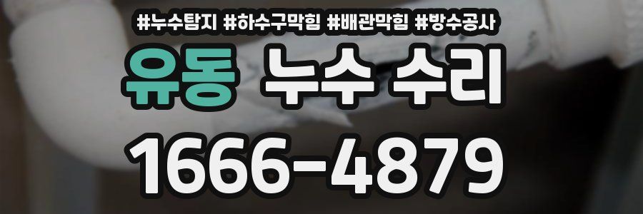 유동 누수 수리