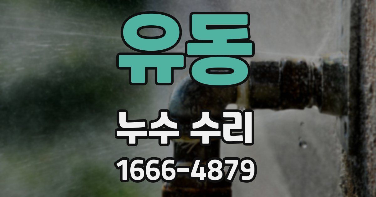 유동 누수 수리
