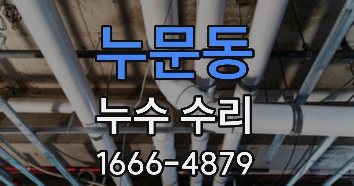 누문동 누수 수리