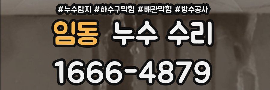 임동 누수 수리