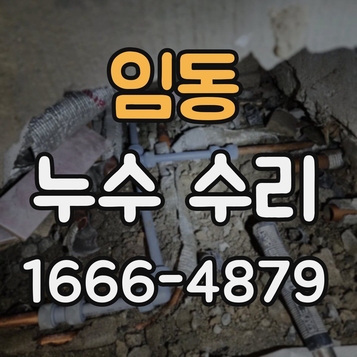 임동 누수 수리