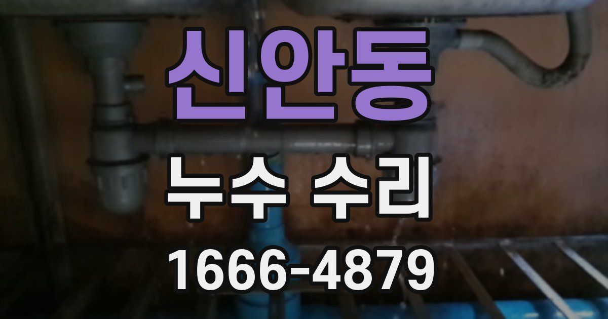 신안동 누수 수리