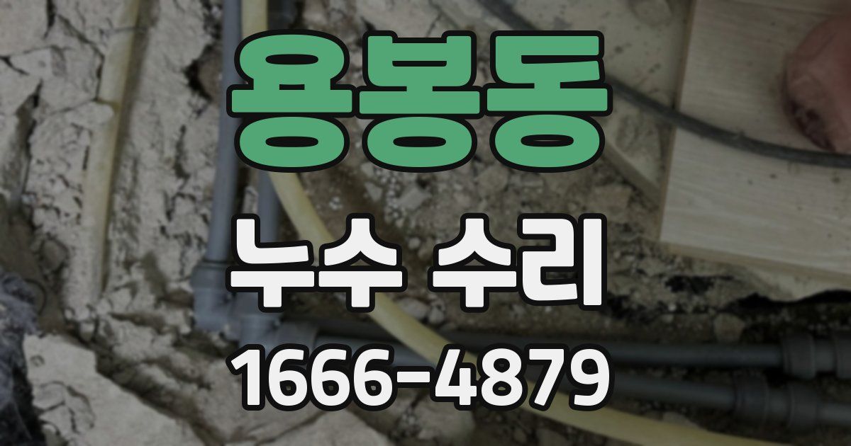 용봉동 누수 수리