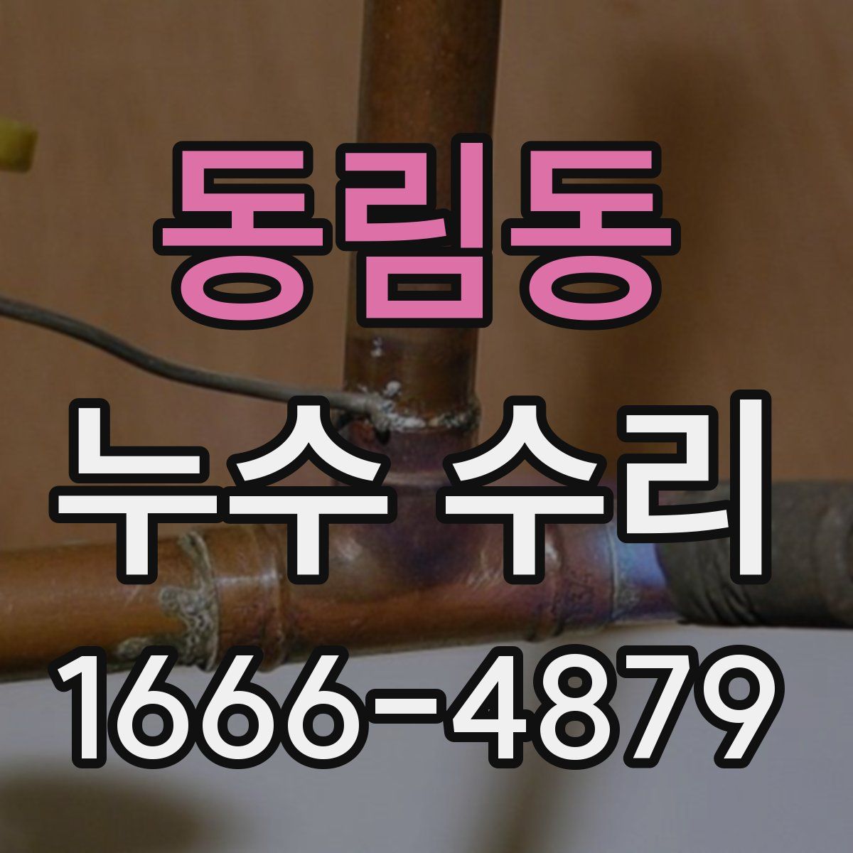 동림동 누수 수리