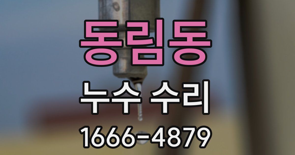 동림동 누수 수리