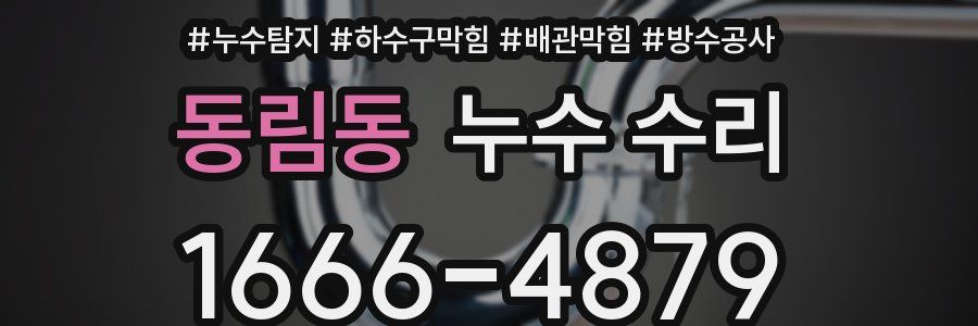 동림동 누수 수리