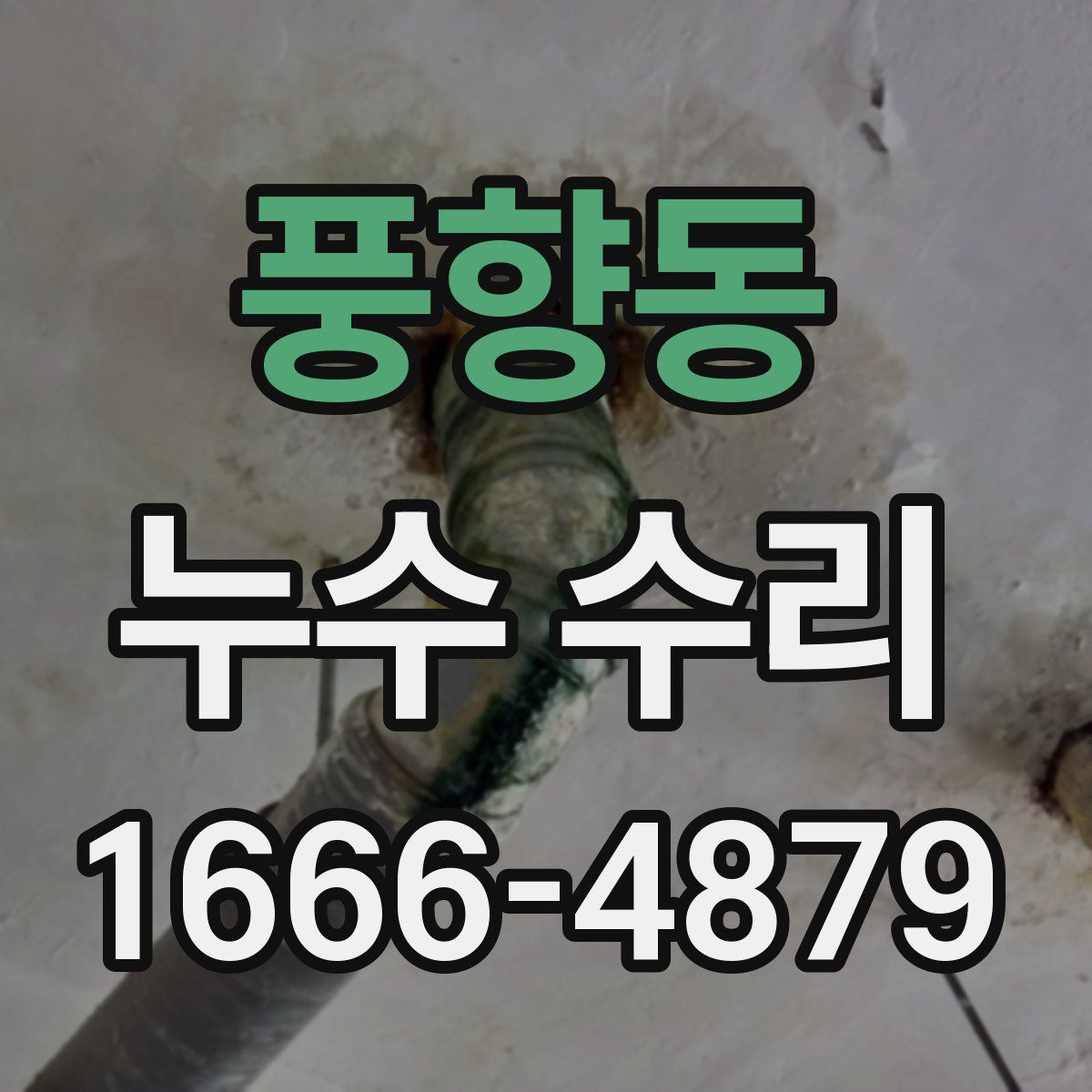 풍향동 누수 수리