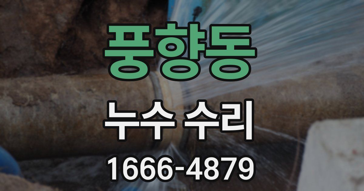 풍향동 누수 수리