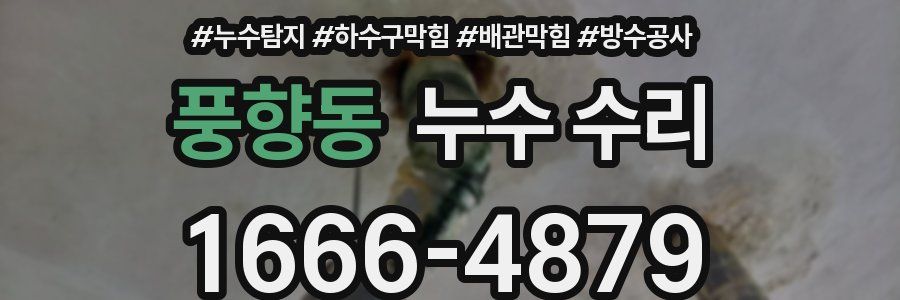 풍향동 누수 수리