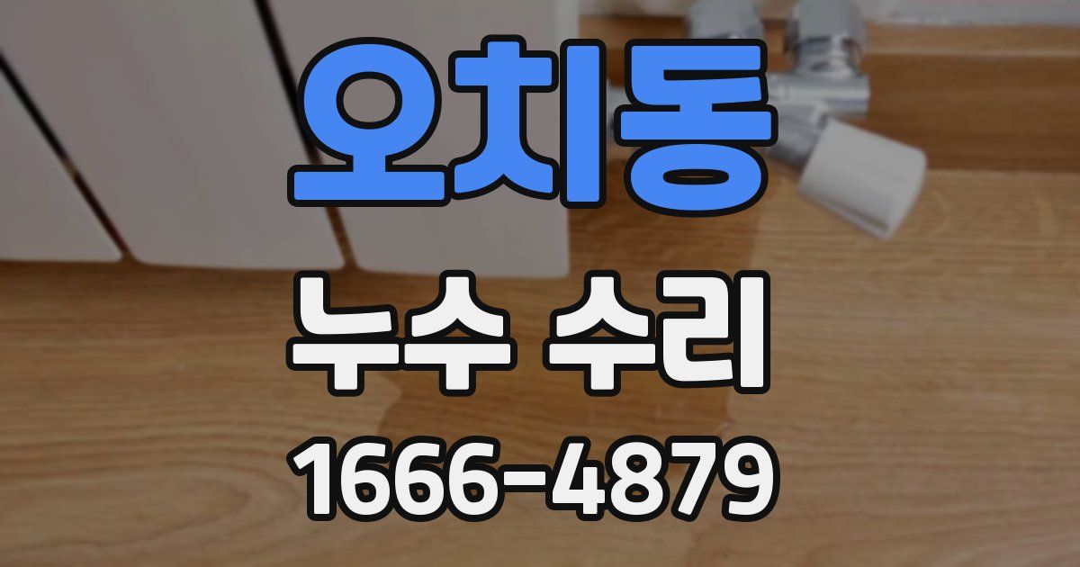 오치동 누수 수리