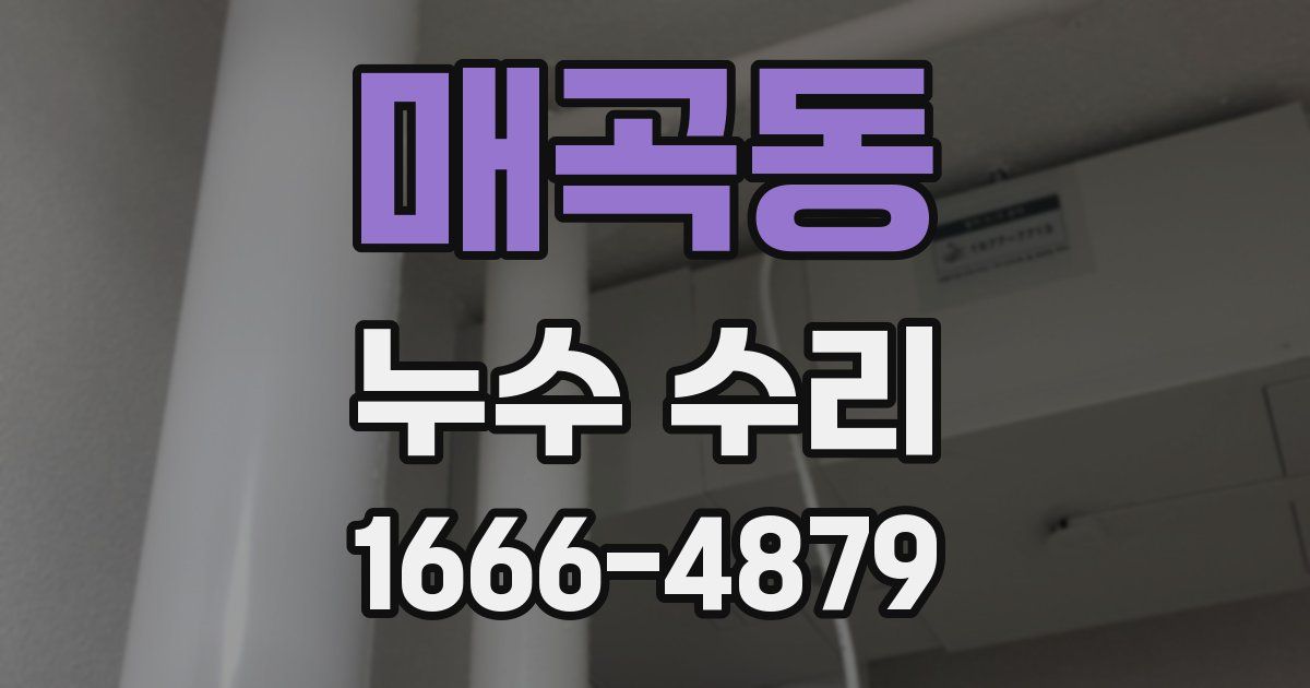 매곡동 누수 수리