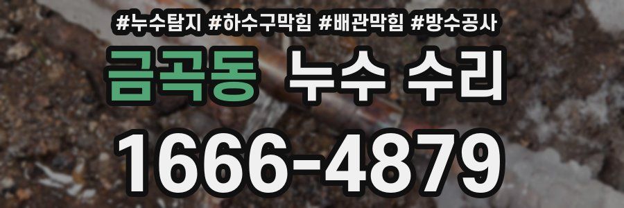 금곡동 누수 수리