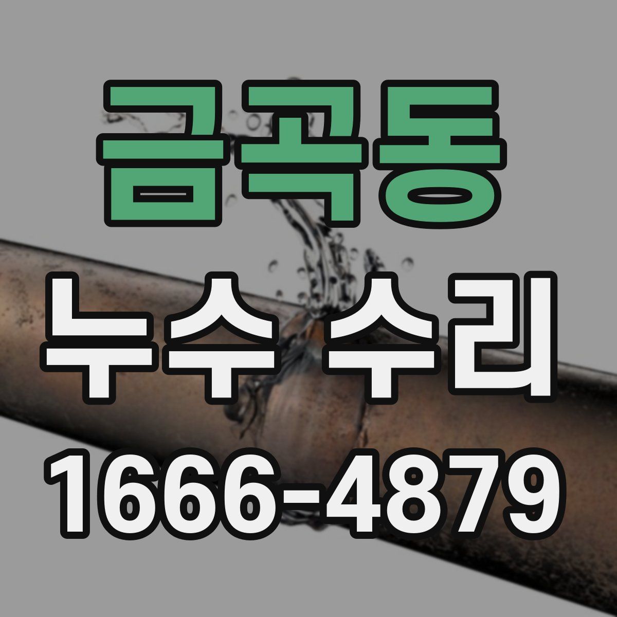금곡동 누수 수리
