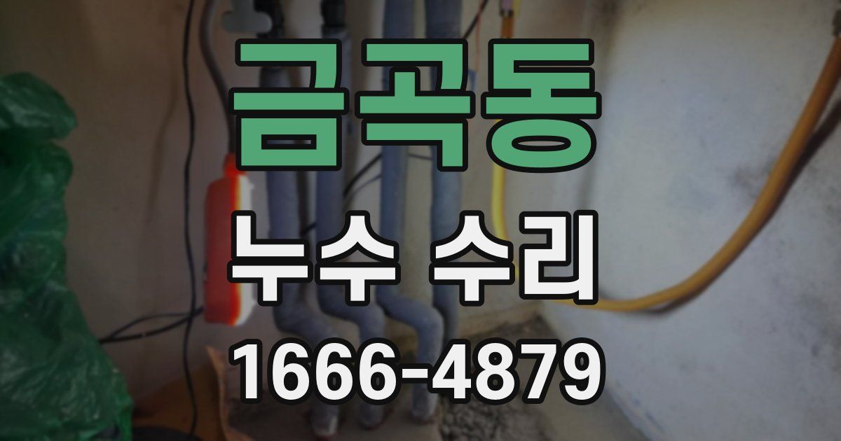 금곡동 누수 수리