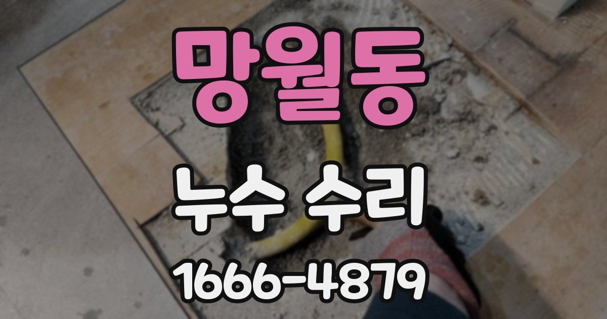 망월동 누수 수리